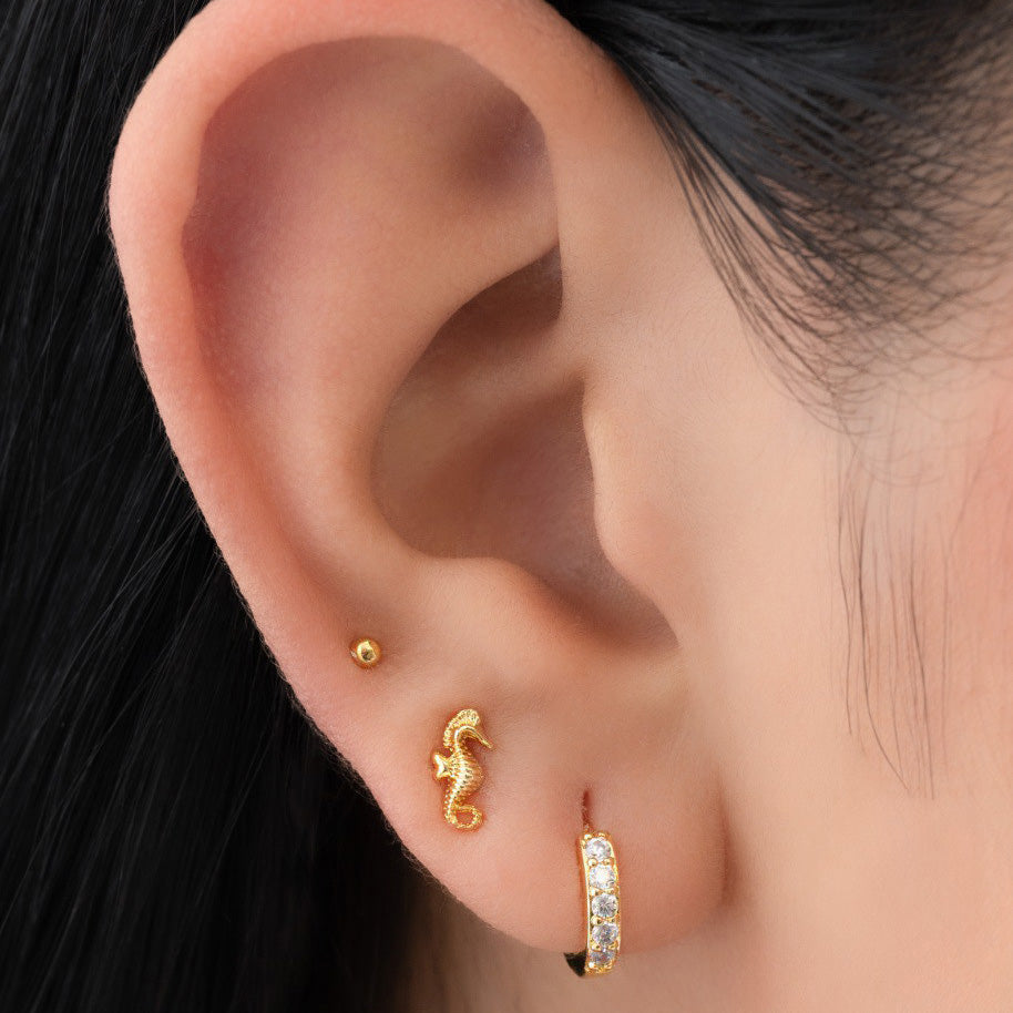 Seahorse Earrings
