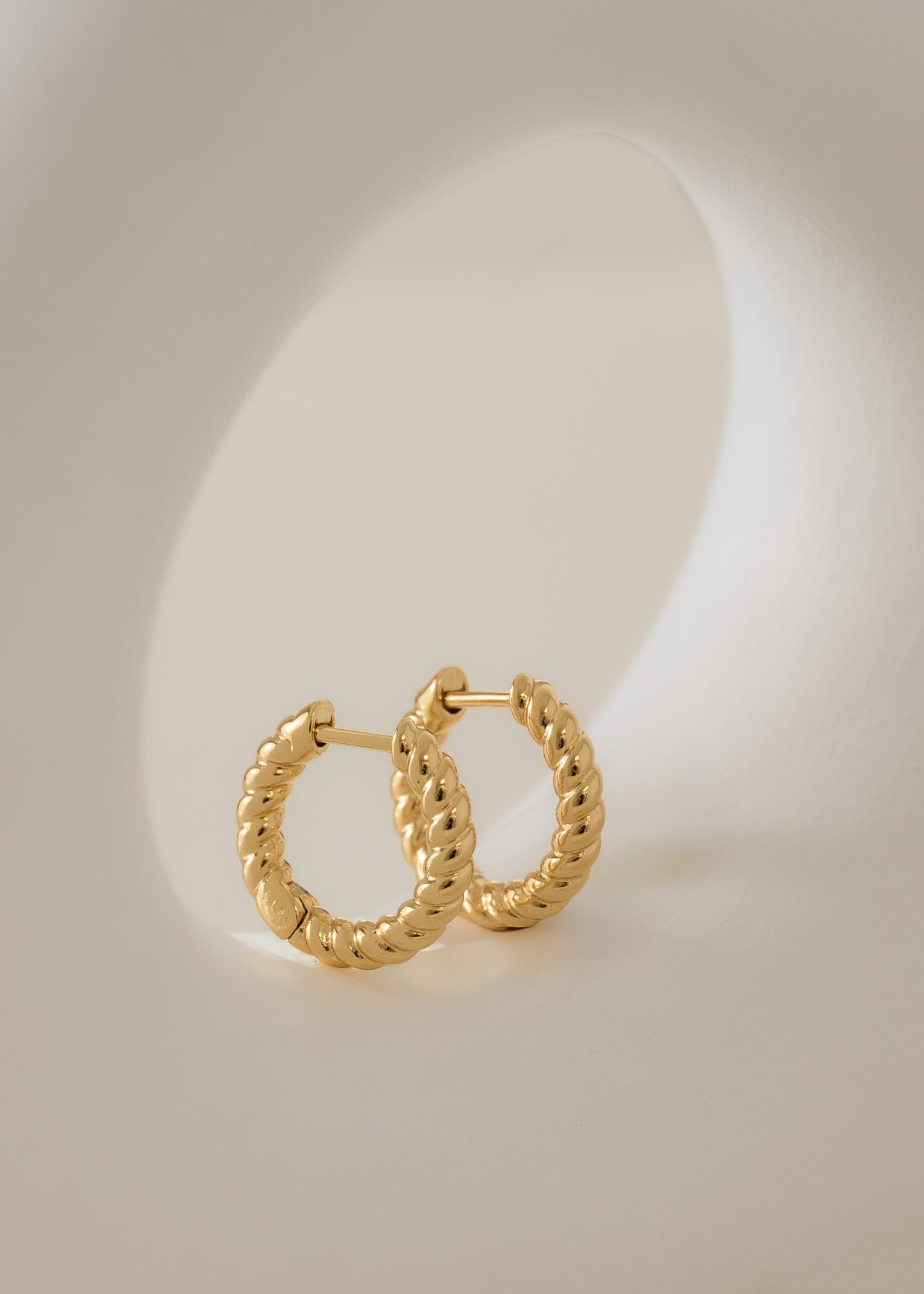 Elegant Hoop Earrings