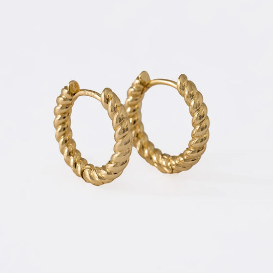 Elegant Hoop Earrings
