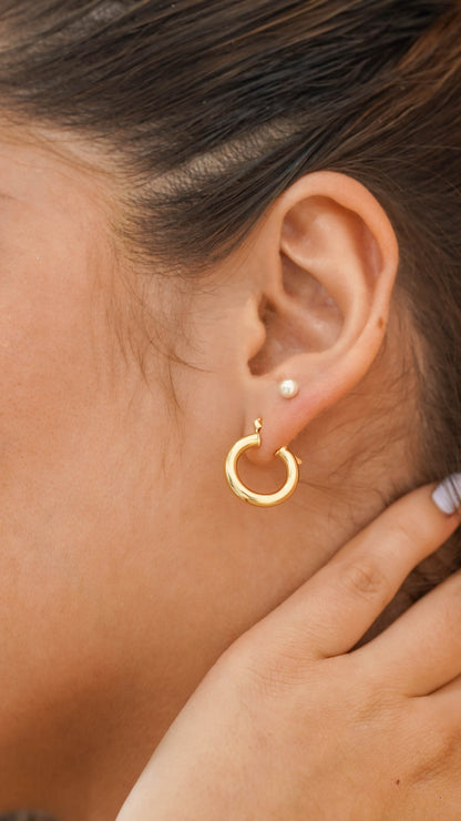Tubular Small Hoop Earrings