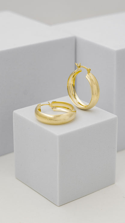 Gold Dust Hoop Earrings